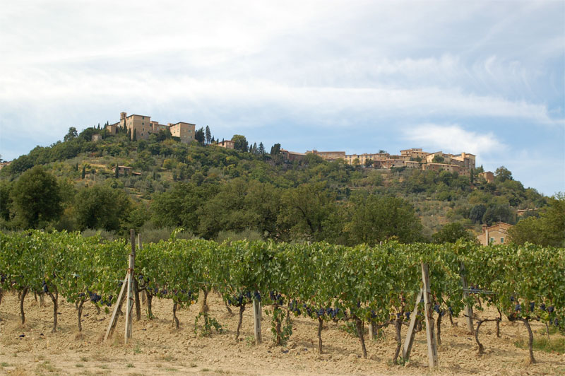 gal/2006/07 - Fondo della Valdarbia II serie/3 - Su e giu per le crete e  l arrivo/DSC_0044-01.jpg